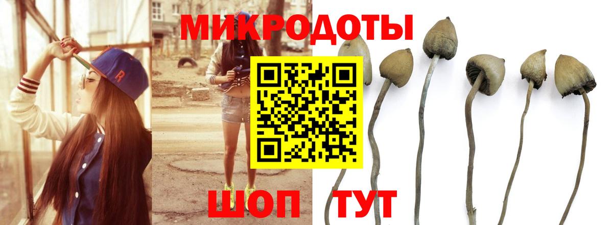 Галлюциногенные грибы мицелий  где можно купить   Усть-Илимск  Вход с VPN 