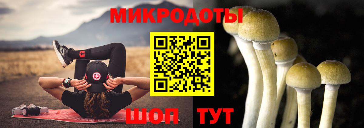 Псилоцибиновые грибы GOLDEN TEACHER Усть-Илимск